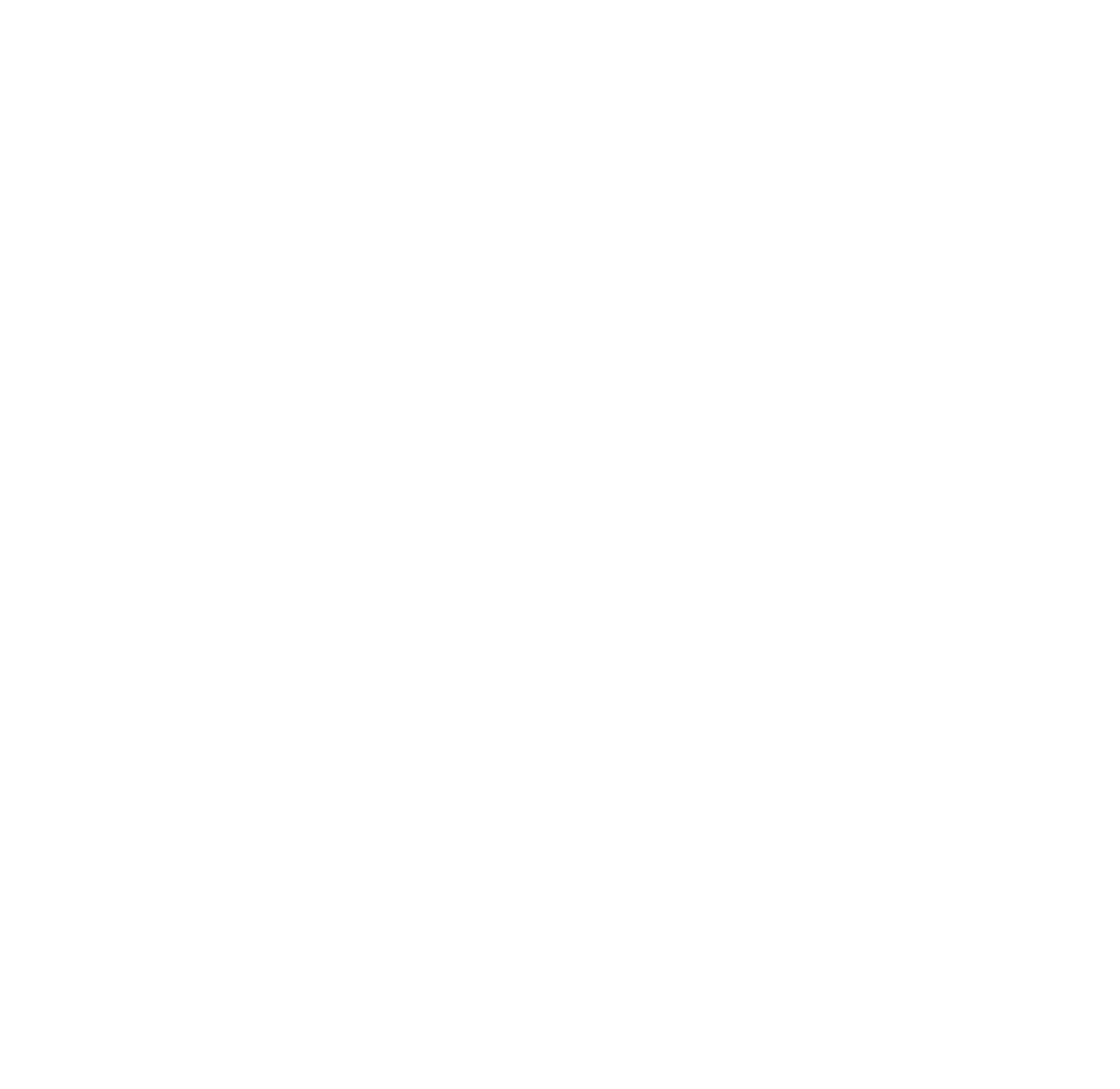 Logo Skolae Group